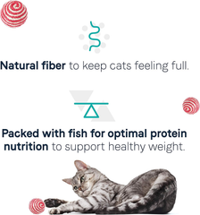 Canidae Goodness for Indoor Cats, Premium Adult Dry Cat Food with Real Whitefish