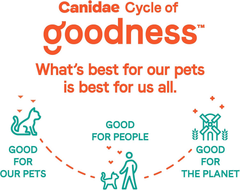 Canidae Goodness for Indoor Cats, Premium Adult Dry Cat Food with Real Whitefish