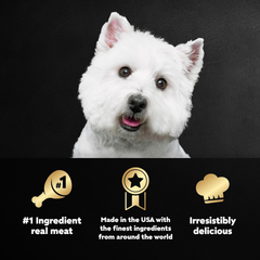 CESAR Adult Soft Wet Dog Food Classic Loaf in Sauce, Lamb Recipe
