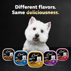 CESAR Adult Wet Dog Food Classic Loaf in Sauce Beef Recipe, Filet Mignon, Grilled Chicken and Porterhouse Steak Variety Pack, Easy Peel Trays