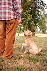 Chuckit Gen 1 Fetch Pack Dog Balls - Interactive Dog Toys, High-Bounce Fetch Ball, Floating Ultra and Rugged Balls, Durable - , 2.5-inch Diameter, Set of 3