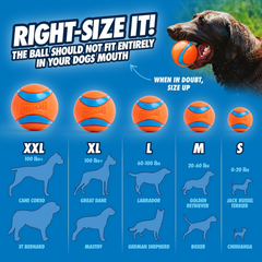 Chuckit! Ultra Ball Dog Toy - For Dogs 60-100 lbs - Made from Durable Rubber - Super Bouncy - Floats in Water - 3-inch Diameter - Pack of 1