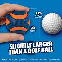 Chuckit! Ultra Squeaker Ball Dog Toy