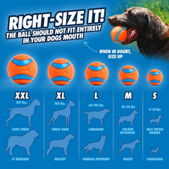 Chuckit Pro Fetch Toy Ball Launcher For Dogs; Compatible With Any Chuckit! 18 Inch + Max Glow Ball
