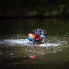 Chuckit! Amphibious Tri-Bumper Fetch Dog Toy, Black