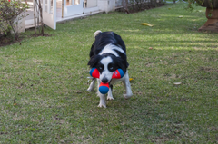 Chuckit! Amphibious Tri-Bumper Fetch Dog Toy, Black