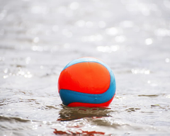 Chuckit! Amphibious for Medium and Large Dogs