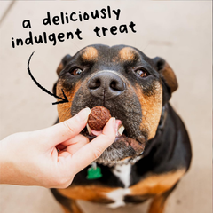 Cloud Star Wag More Bark Less Grain Free Meatballs Dog Treats with Beef