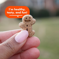 Cloud Star Soft & Chewy Buddy Biscuits - Peanut Butter Flavor