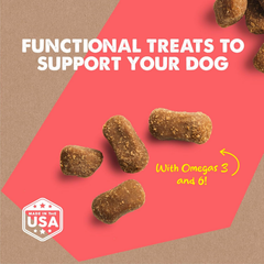 Cloud Star Dynamo Dog Skin & Coat Soft Chews Grain Free Dog Treats, Salmon