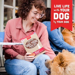 Cloud Star Wag More Bark Less Crunchy Grain Free Dog Treats, Pumpkin