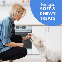 Buddy Biscuits Trainers Pouch of Training Bites Soft & Chewy Dog Treats Made with Bacon Flavor