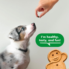 Buddy Biscuits Trainers Pouch of Training Bites Soft & Chewy Dog Treats Made with Chicken Flavor
