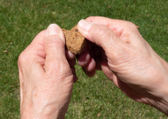 Zero/G Roasted Salmon Recipe Mini Dog Treats