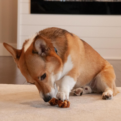 Nothin' to Hide Collagen-Based Dog Chews Small Knotted Bones, Beef Flavor, Easily Digestible, Supports Skin, Coat, Joints & Muscles, for Moderate Chewers Under 15lbs