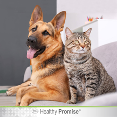 Four Paws Healthy Promise Quick Action Blood Stopper Styptic Gel for Dogs & Cats