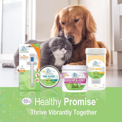 Four Paws Healthy Promise Quick Action Blood Stopper Styptic Gel for Dogs & Cats
