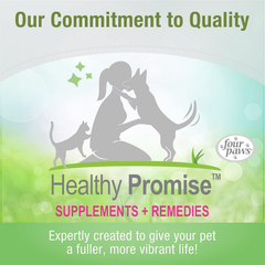 Four Paws Pet Nursing Feeding Bottle for Kittens & Puppies