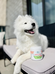Four Paws Healthy Promise Dog Supplements for Skin and Coat Soft Chews