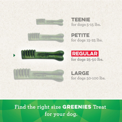 Greenies Regular Natural Dental Care Dog Treats Fresh Flavor