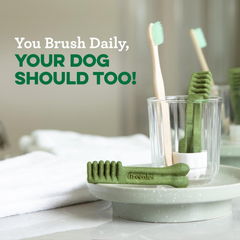Greenies Original Regular Natural Dental Care Dog Treats