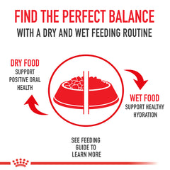 Royal Canin Small Breed Adult Dry Dog Food