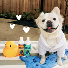Earthbath, Oatmeal & Aloe Conditioner - Dog Conditioner for Allergies & Itching, Dry Skin, Dog Wash That Helps Detangle & Relieve Itching, Made in USA, Cruelty Free Pet Conditioners