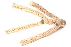 Galápagos Branched Cholla Wood for Aquarium, Natural 36 in