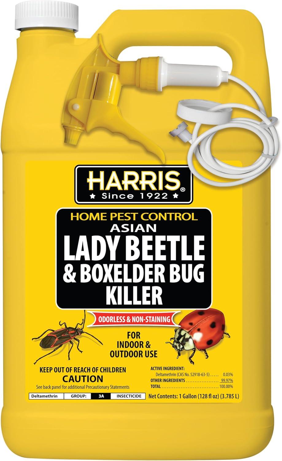 Harris Asian Lady Beetle & Box Elder Bug Killer, 1 gal