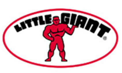 Little Giant