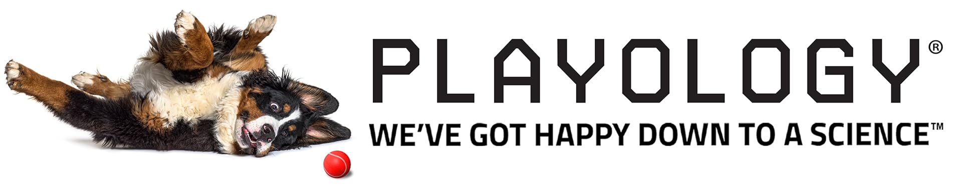 Playology Toys