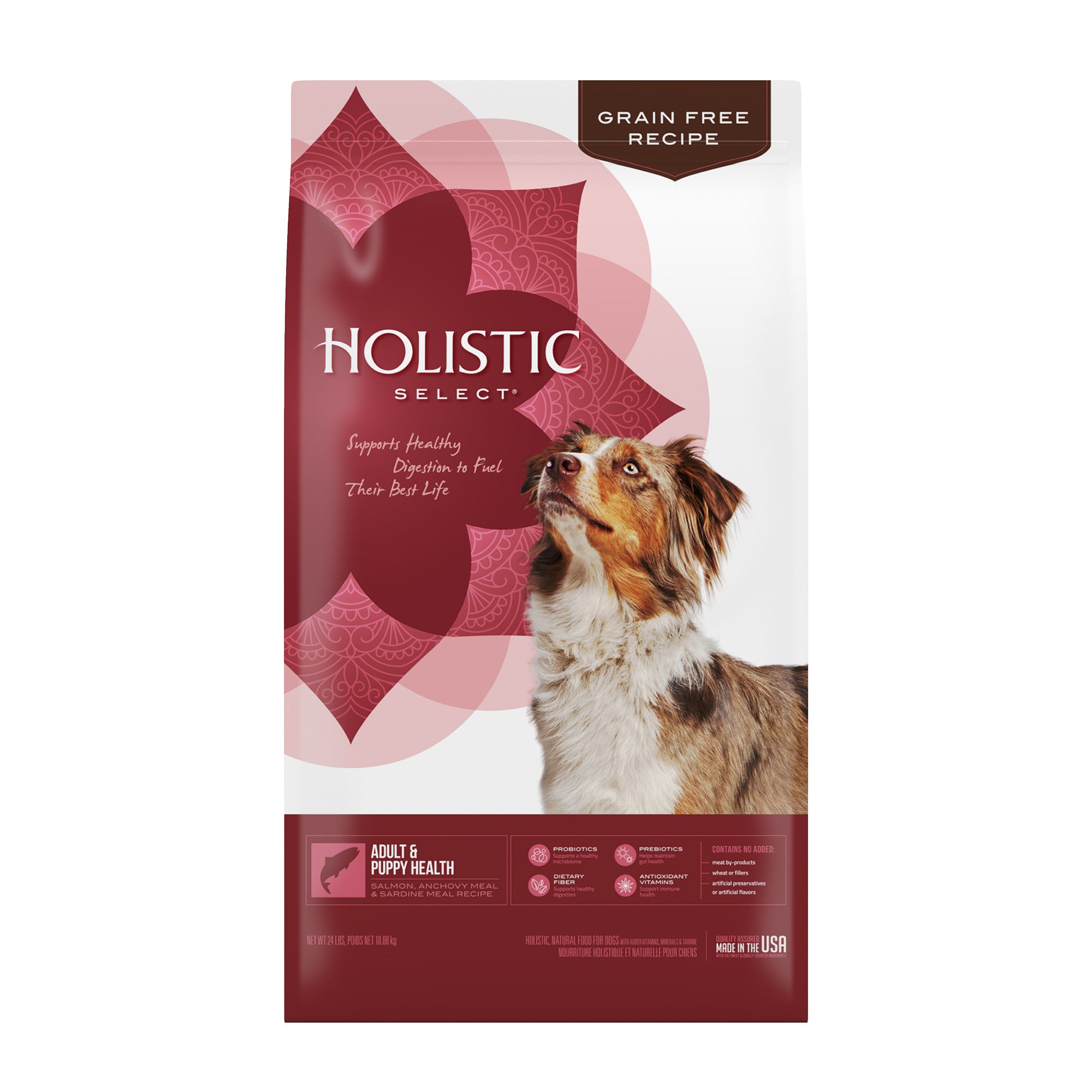 Holistic Select Natural Grain Free Dry Dog Food, Adult & Puppy Salmon, Anchovy & Sardine Recipe, 24-Pound Bag