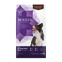 Holistic Select Natural Grain Free Dry Dog Food, Deboned Turkey & Lentils Recipe, 24-Pound Bag