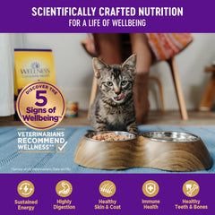 Wellness Complete Health Gravies Grain Free Canned Cat Food, Turkey Dinner, 3 Ounces (Pack of 12)