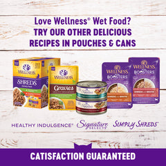 Wellness Complete Health Natural Grain Free Wet Canned Cat Food, Sliced Turkey & Salmon Entree, 5.5-Ounce Can (Pack of 24)