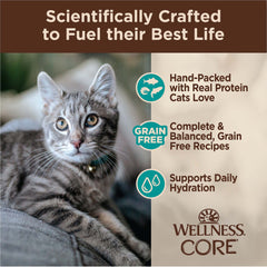 Wellness CORE Signature Selects Natural Canned Grain Free Cat Food Variety Pack, Flaked Seafood Selection, 5.3 Ounce Can (Pack of 12)