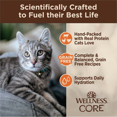 Wellness CORE Signature Selects Natural Canned Grain Free Cat Food Variety Pack, Shredded Poultry Selection, 5.3 Ounce Can (Pack of 12)