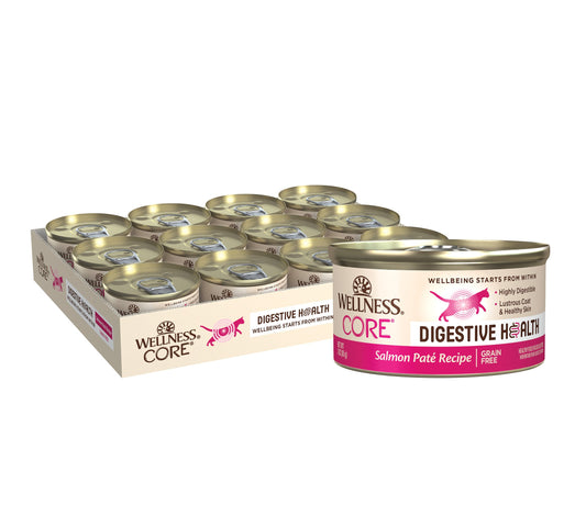 Wellness CORE Digestive Health Salmon Pate Wet Cat Food, 3 Ounce Can (Pack of 12)