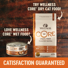 Wellness CORE Hearty Cuts Natural Grain Free Wet Canned Cat Food, Chicken & Turkey, 5.5-Ounce Can (Pack of 24)