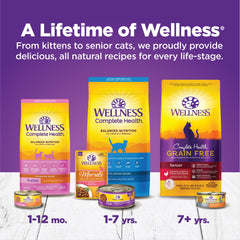 Wellness Complete Health Age Advantage Senior Wet Cat Food, Chicken Pate, 7+ Years Old, 3 Ounce Can (Pack of 24)