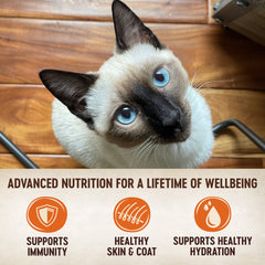 Wellness CORE Signature Selects Natural Grain Free Wet Canned Cat Food, Chunky Beef & Chicken, 2.8-Ounce Can (Pack of 12)