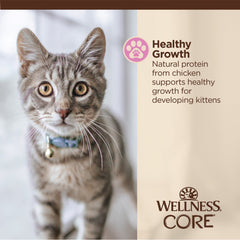 Wellness CORE Tiny Tasters Wet Kitten Food, Chicken Pate, 1.75 Ounce Pouch (Pack of 12)