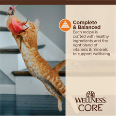 Wellness CORE Tiny Tasters Wet Cat Food, Minced Chicken in Gravy, 1.75 Ounce Pouch (Pack of 12)