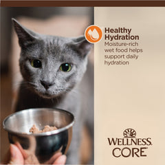 Wellness CORE Tiny Tasters Wet Cat Food, Minced Chicken in Gravy, 1.75 Ounce Pouch (Pack of 12)