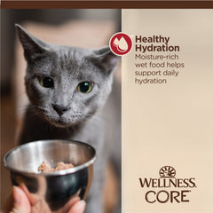 Wellness CORE Tiny Tasters Wet Cat Food, Minced Chicken & Beef in Gravy, 1.75 Ounce Pouch (Pack of 12)