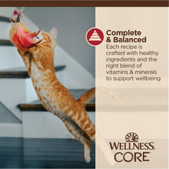 Wellness CORE Tiny Tasters Wet Cat Food, Minced Chicken & Beef in Gravy, 1.75 Ounce Pouch (Pack of 12)