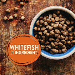 Wellness Core Ocean Dry Dog