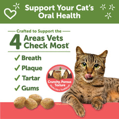 Wellness WHIMZEES Natural Grain Free Cat Dental Treats, Chicken & Salmon Flavor, 2 Ounce