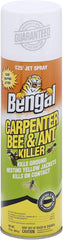 Bengal® Carpenter Bee &amp; Ant Killer 16 oz