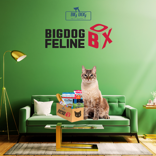 Big Dog Feline Cat Box - Ultimate New Surprising Treat & Toys for Cats Every Time You Order